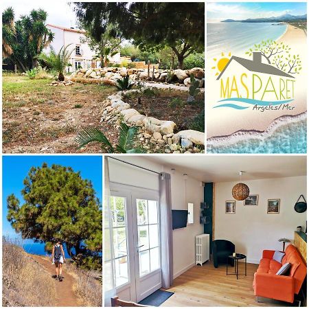 MAS PARET Studio plein sud dans parc d'1ha Argelès-sur-Mer Extérieur photo