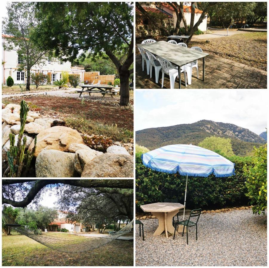 MAS PARET Studio plein sud dans parc d'1ha Argelès-sur-Mer Extérieur photo