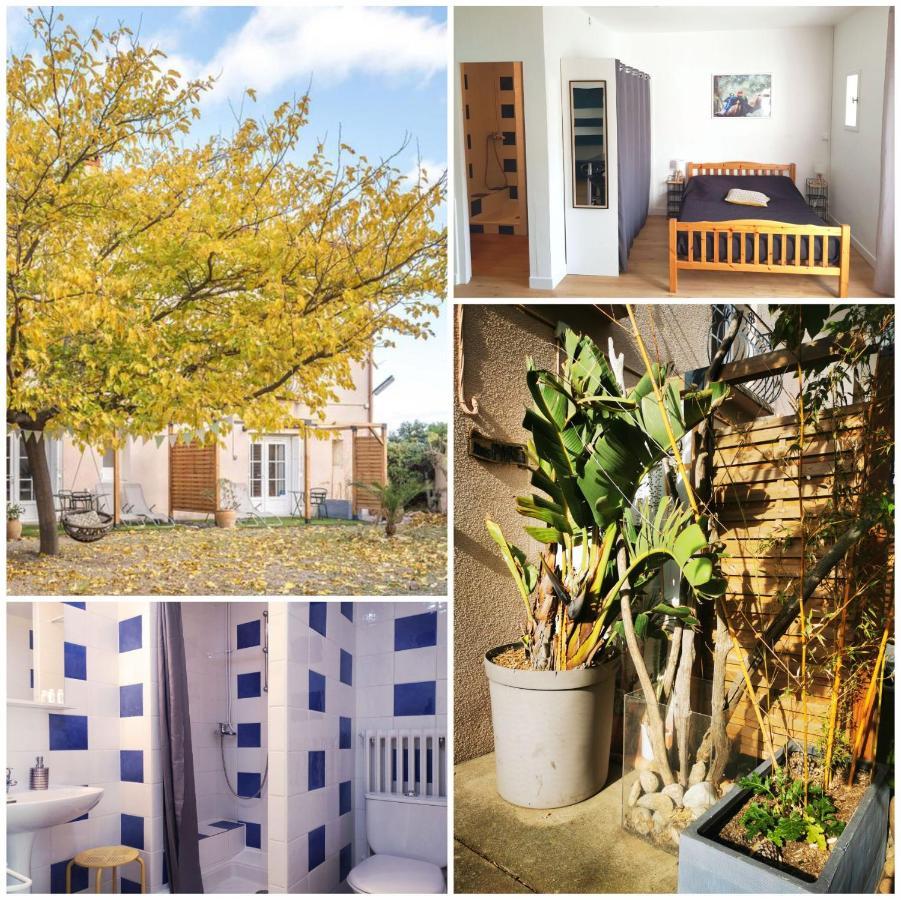 MAS PARET Studio plein sud dans parc d'1ha Argelès-sur-Mer Extérieur photo