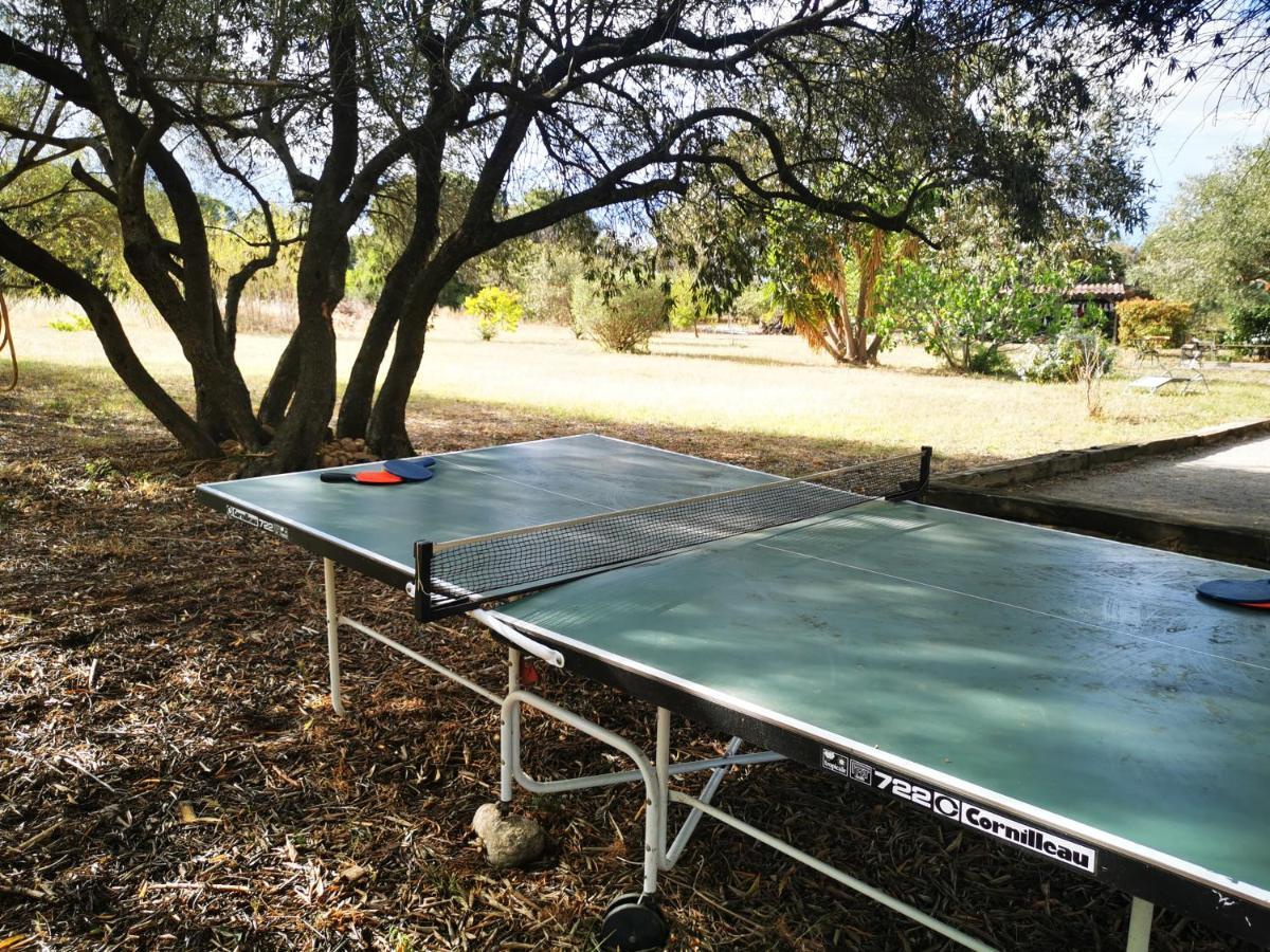 MAS PARET Studio plein sud dans parc d'1ha Argelès-sur-Mer Extérieur photo